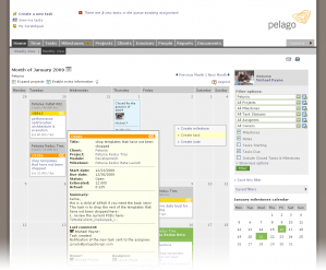 Project Management Calendar