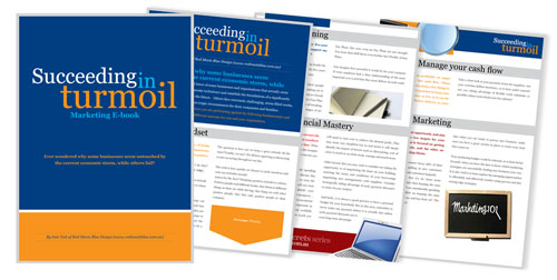 Succeeding in Turmoil, a Marketing E-Book