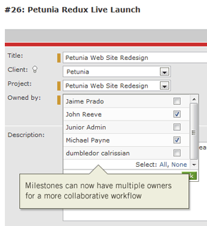 Project milestones with multiple owners