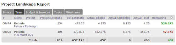 The Project Landscape Report, Online Time Tracking Software