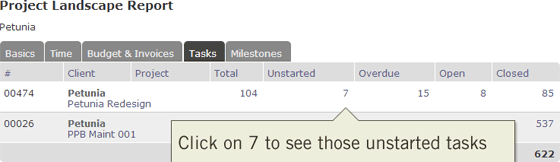 Project Landscape report showing number of tasks total, unstarted, overdue, open and closed