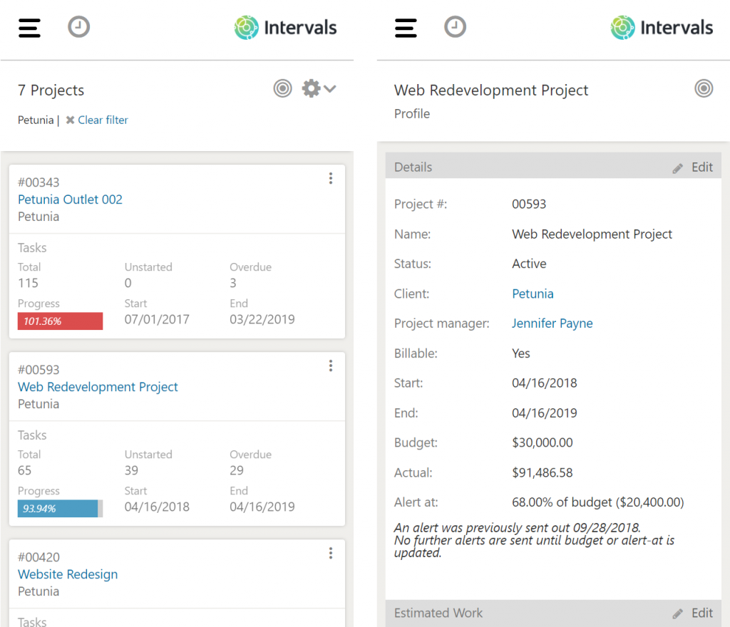 Intervals Mobile App Project Management