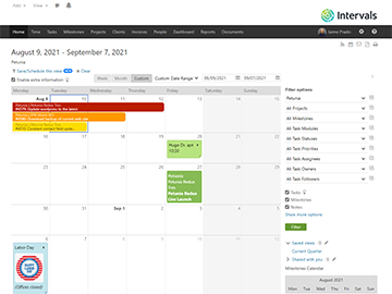 Calendar view showing tasks and milestones